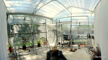 greenhouse2.jpg